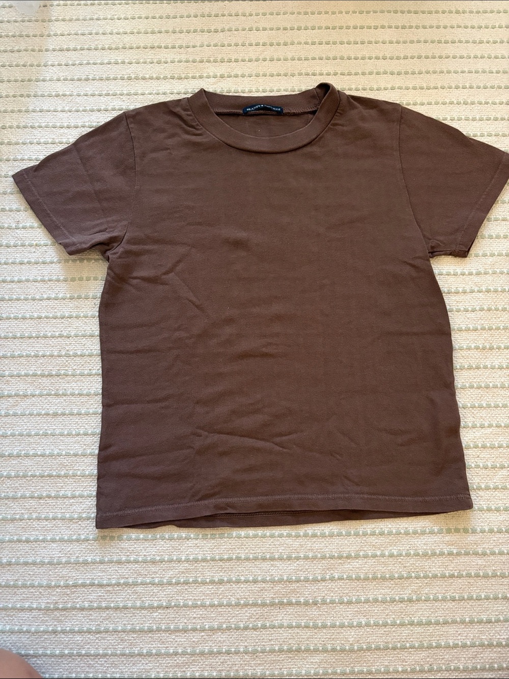Brandy Melville Classic Brown Crewneck T-Shirt